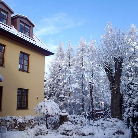 Villa Gorczanska Rabka Exterior foto