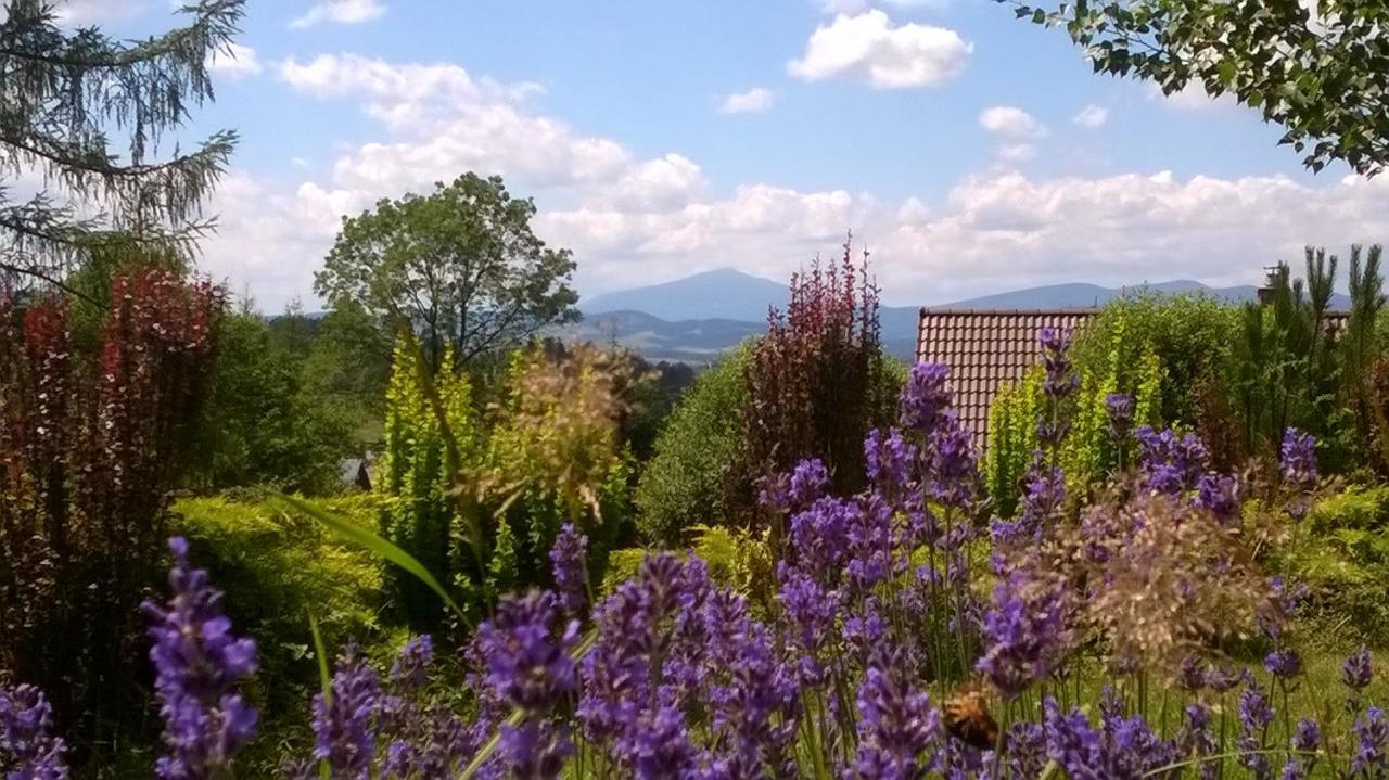 Villa Gorczanska Rabka Exterior foto